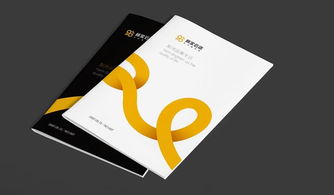 VI設(shè)計流程與項目策劃及公關(guān)服務(wù)的融合